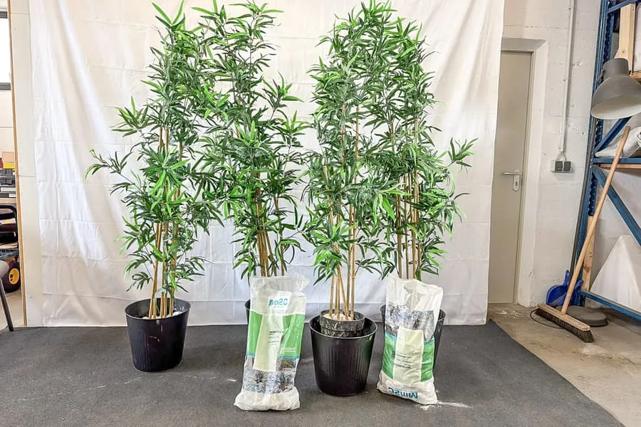 4 株人造植物