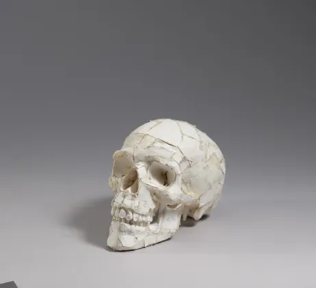 Tom Sachs, Skull