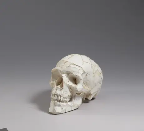 Tom Sachs, Skull