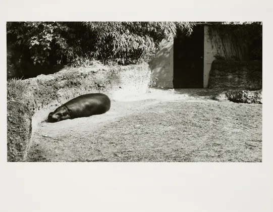 Candida Höfer，巴塞尔动物园 I
