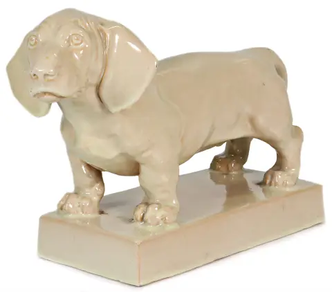Chien, teckel