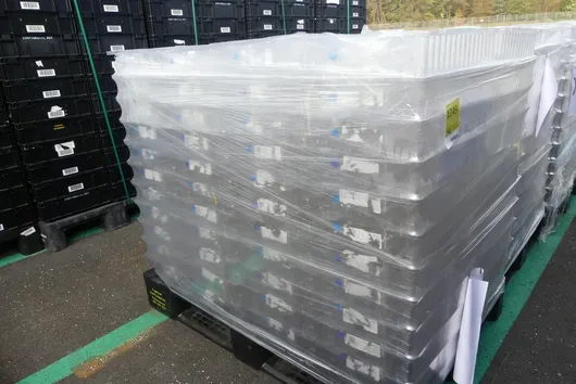 Pallet inserti in plastica