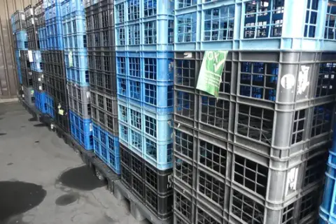Raklap műanyag kosarakkal