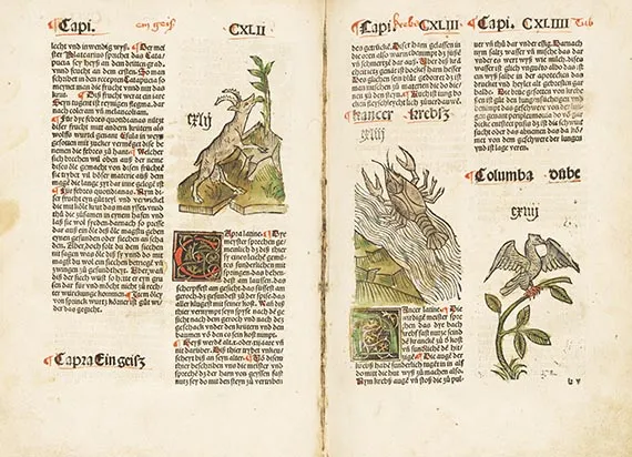 Michael Furter, Gart der Gesundheit, 1490