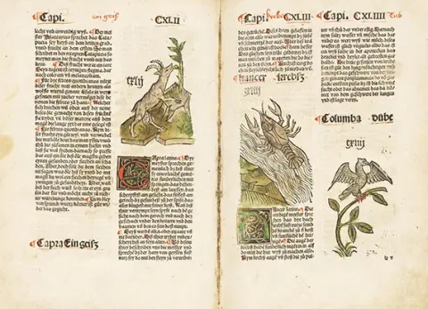 Michael Furter, Gart der Gesundheit, 1490
