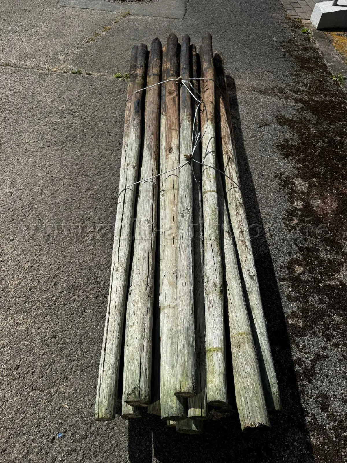 250 tree stakes
