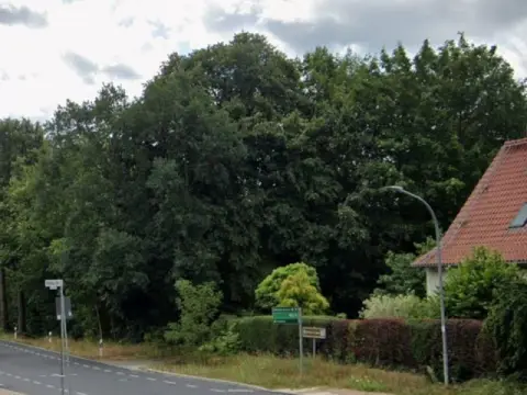 Skovareal ved siden af en boliggrund i Treuenbrietzen i Landkreis Potsdam-Mittelmark, ifølge kommuneplanen blandet område