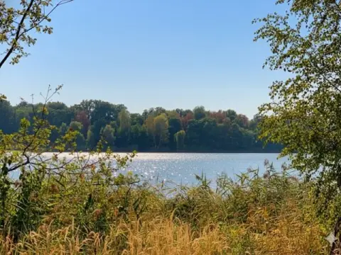Skovareal uden kontrakt nær Baggersee og Gusow Slot