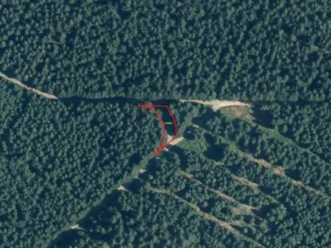 Lille skov- og vejareal i Erzgebirgskreis