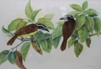 Olvashatatlan aláírású akvarell, sárga tirannuszok, 1987-es dátum, keretezve/üveg alatt, kerettel mérete 56 x 70 cm