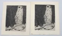 2 db Willi Geiger (1878-1971), bagoly, rézkarc, 1 szignált, 1 lap öregedés nyomaival, egyenként keret nélkül, kb. képméret 16 x 13 cm