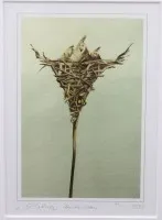 Valószínűleg litográfia, "Schöner Unterbau" címmel, 4/50 sz., jól keretezve, üvegben, kerettel 32,5 x 27 cm