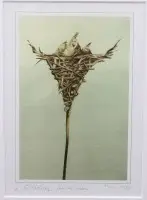 Valószínűleg litográfia, "Schöner Unterbau" címmel, 4/50 sz., jól keretezve, üvegben, kerettel 32,5 x 27 cm