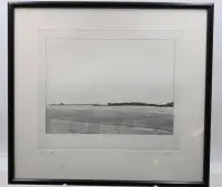 Olvashatatlan aláírású rézkarc "Ebene" címmel, 19/20. sz., (19)75-re datálva, keretezve/üveg, kerettel kb. 31 x 35 cm