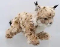 Hiúz, Teddy Hermann, jó állapotban, kb. 24 cm magas