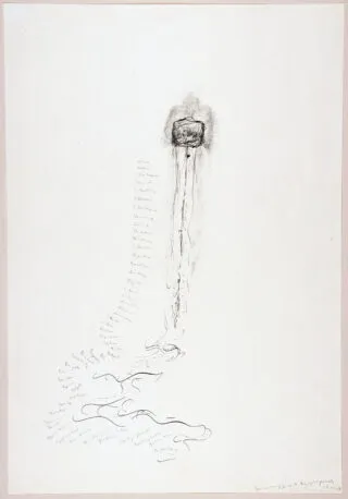 Lily Fischer. Női muff életrajzi vérrögökkel. 1987