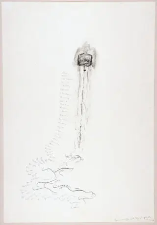 Lily Fischer. Női muff életrajzi vérrögökkel. 1987