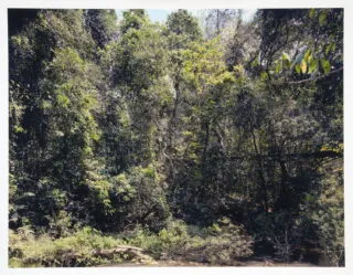 Thomas Struth. Paradies.