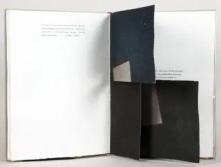 Susan Weil. Giacomo Joyce. James Joyce. 1989