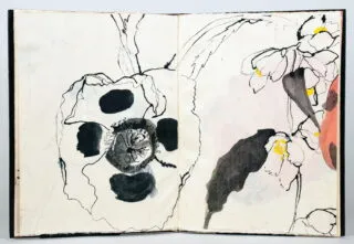 Robert Kushner. Poppies and Mock Orange. 1990