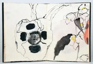 Robert Kushner. Poppies and Mock Orange. 1990