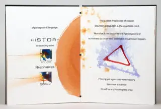 Timothy Ely – Terence McKenna. Synesthesia. 1992