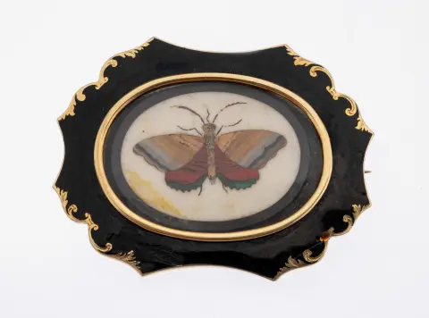 Broche en or 14 kt avec pierres de couleur et émail, vers 1850-60, GG 585/000 poinçonné, forme incurvée