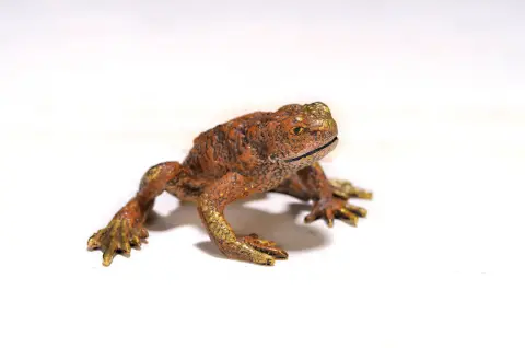 Bronze de Vienne, crapaud assis, polychrome, env. 3x5 cm
