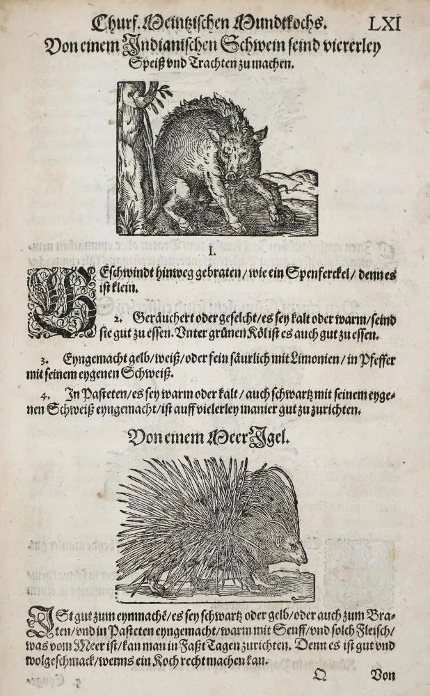 Rumpolt,M. – Ein new Kochbuch