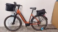 E-bike (Pedelec) GIANT Daily Tour E2+D LDS
