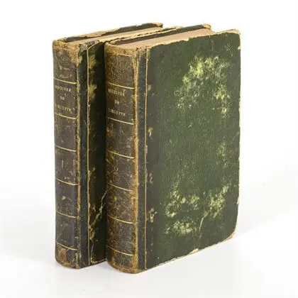 MENGIN, Felix. Histoire de l'Égypte sous le gouvernement de Mohammed-Aly ..." 2 volumes