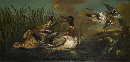 UTRECHT, Adriaen van (?). Ænder i sivene