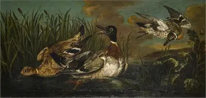 UTRECHT, Adriaen van (?). Ænder i sivene