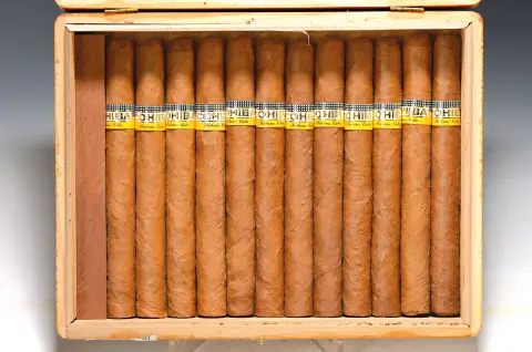 Caisse de 25 avec 19 Esplendidos, Cohiba, Havana, Cuba, dite "cigare du chancelier", format