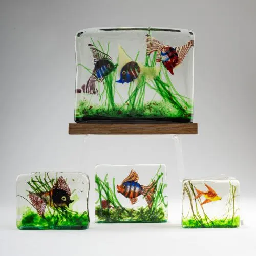 Vier aquariums, circa 1960