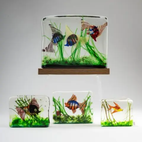 Vier aquariums, circa 1960