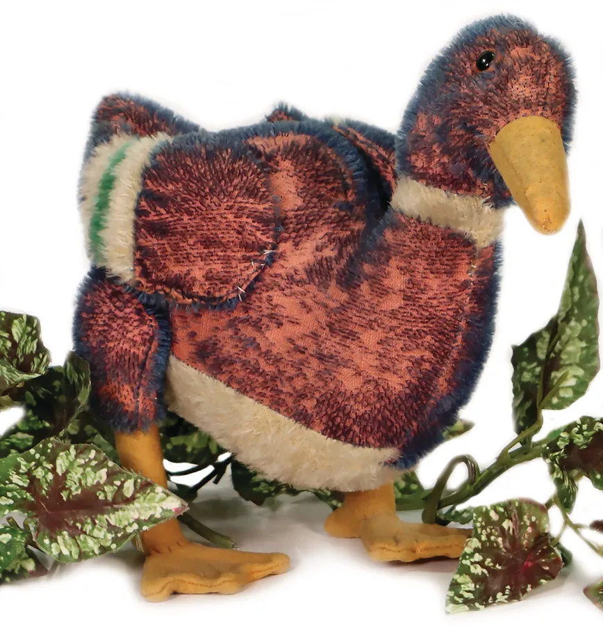 Canard exceptionnel