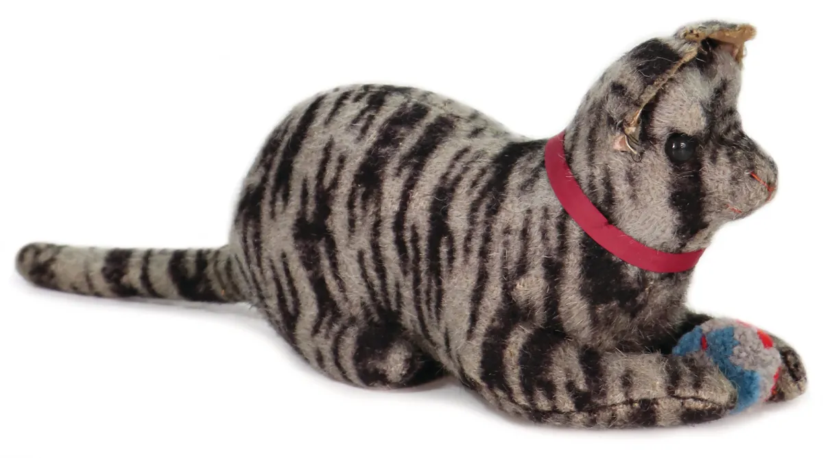 Chat précoce couché