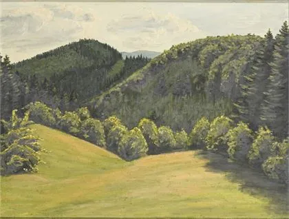 Sunčani šumski pejzaž