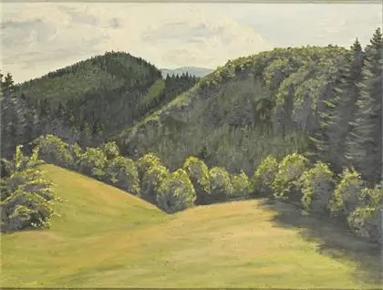 Sunčani šumski pejzaž