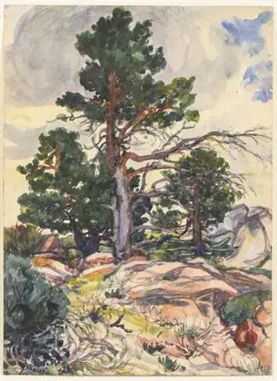 Weiser, Paul (1877 Erdmannsdorf – 1967 Gera). Spanyol tájkép