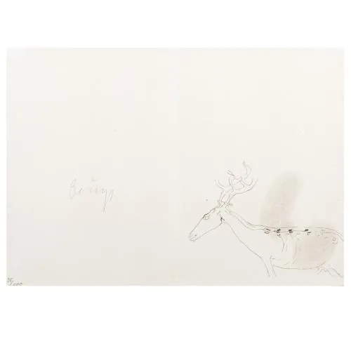 Joseph Beuys – 'Zeichnungen zu Leonardo Codices Madrid', 1975