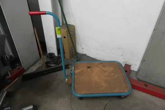 Platform trolley