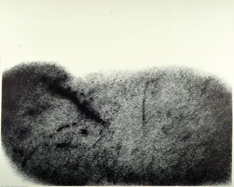 Werner Knaupp, 1936 Nuremberg-2025, 2 lithographies, "Vernarbung" 1973, Éd. 88/100,