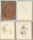 Livre commémoratif 1893 – intitulé "Gedenkblätter gewidmet ihrem lieben Bräutigam von Josephine Viereck, Weihnachten 1893", 10 pages avec…
