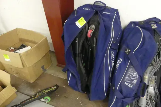 Lot de waveboards