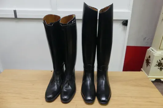 2x сапоги