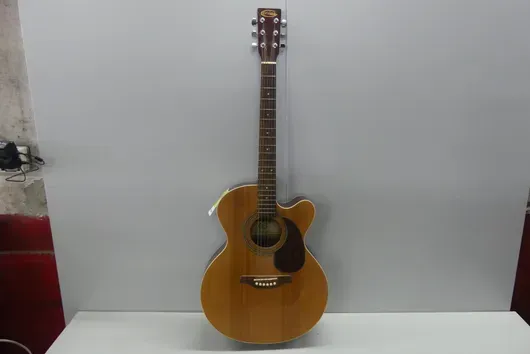 Akustikgitarre