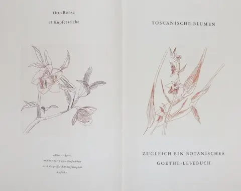 Rohse,O. – Toscaanse bloemen