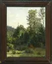 Beroldingen, Marie von, 1853 - 1942 Ratzenried